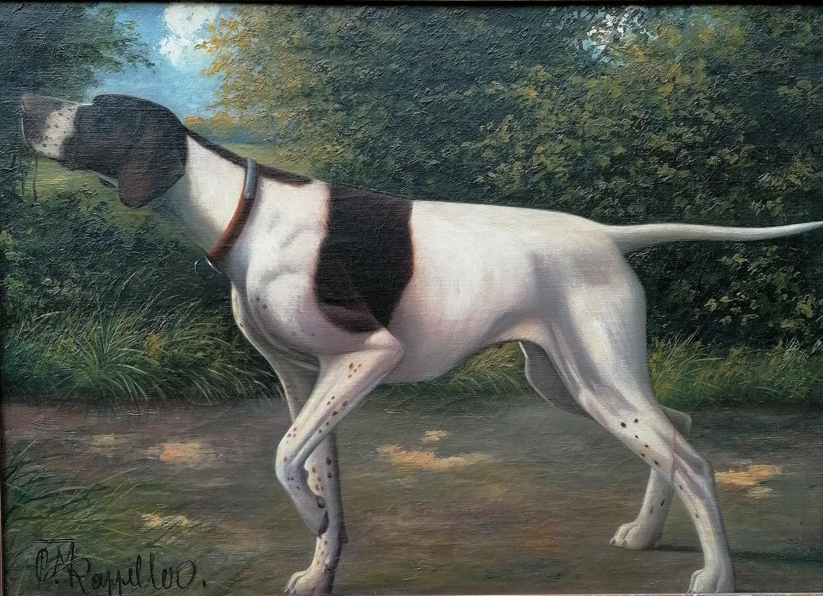 Portrait eines Jagdhundes